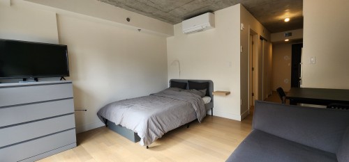Interior - 303-1 Av. Viger O., Montréal (Ville-Marie), QC - Indoor Photo Showing Bedroom