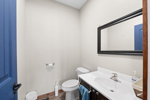 Salle d'eau - B-4663 Route 117, Sainte-Agathe-Des-Monts, QC - Indoor Photo Showing Bathroom