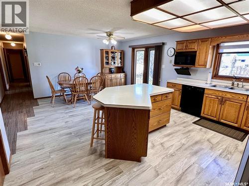 334 Young Street, Earl Grey, SK - Indoor Photo Showing Kitchen With Double Sink