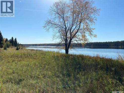338 Johnson Avenue, Big River, SK 
