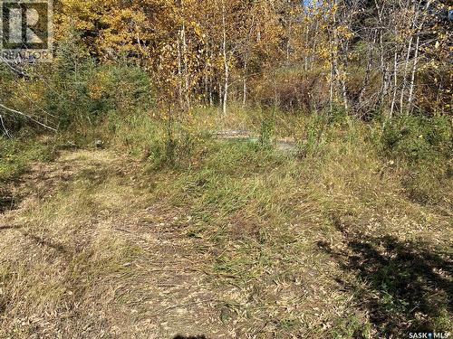 338 Johnson Avenue, Big River, SK 