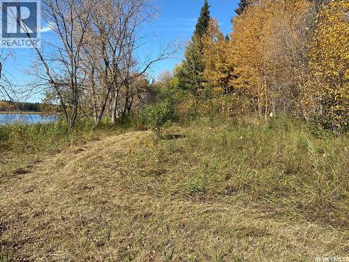 338 Johnson Avenue, Big River, SK 