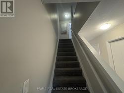 New carpet on Stairs - 