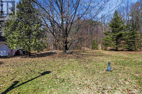 4562 Second Lin W, Prince Township, ON - Outdoor With View
