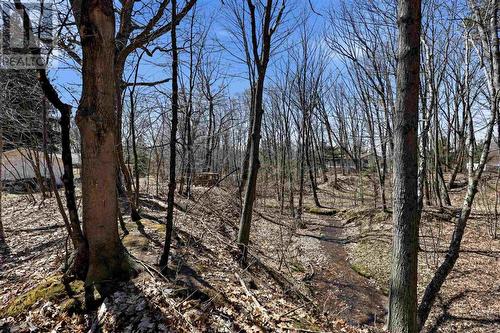 4562 Second Lin W, Prince Township, ON - Outdoor With View