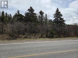 70 Road to the Isles Lewisporte, NL A0G 3A0