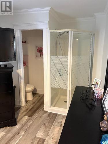 180 Main Street, Triton, NL - Indoor Photo Showing Bathroom