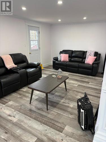 180 Main Street, Triton, NL - Indoor Photo Showing Living Room