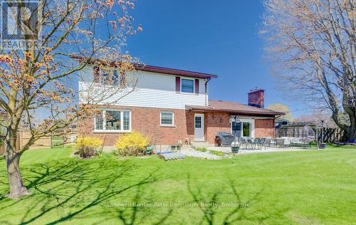 Back of house - 33 Tower Road, Arran-Elderslie, ON - Outdoor