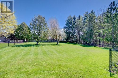 Back of house - 33 Tower Road, Arran-Elderslie, ON - Outdoor