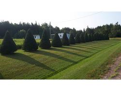 Lot Angel RD Saint-Ignace, NB E4X 0B3