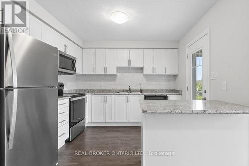 24 Morrison Road, Kitchener, ON - Indoor Photo Showing Kitchen With Upgraded Kitchen