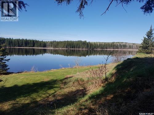 342 Johnson Crescent, Big River, SK 