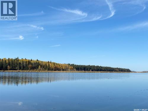 342 Johnson Crescent, Big River, SK 