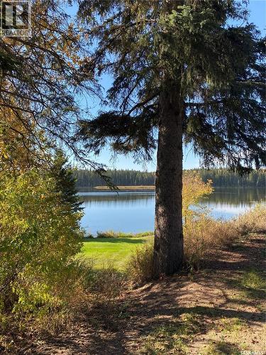 342 Johnson Crescent, Big River, SK 