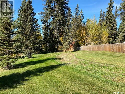 342 Johnson Crescent, Big River, SK 
