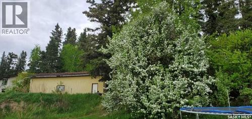342 Johnson Crescent, Big River, SK 