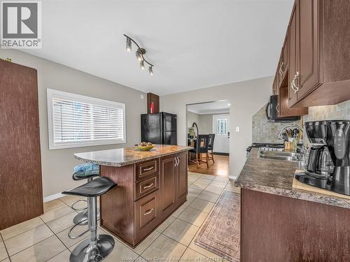 162 Robson Rd, Leamington, ON - Indoor Photo Showing Kitchen With Double Sink