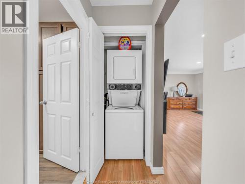 162 Robson Rd, Leamington, ON - Indoor Photo Showing Laundry Room