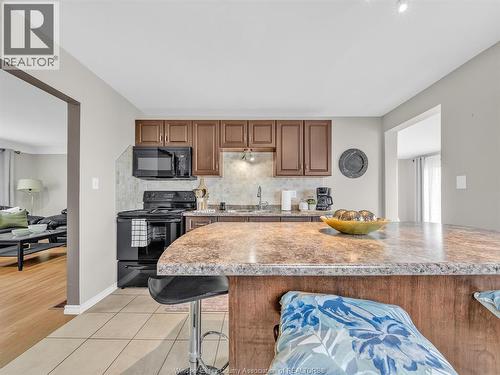 162 Robson Rd, Leamington, ON - Indoor Photo Showing Kitchen