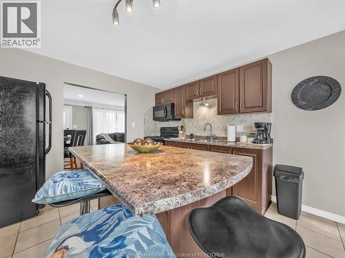 162 Robson Rd, Leamington, ON - Indoor Photo Showing Kitchen