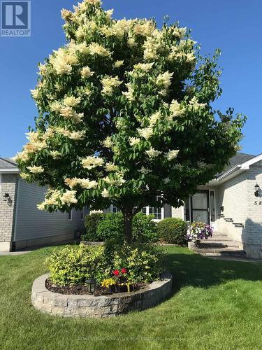 Summer View of Front Yard Tree ... - 58 Decaria Boulevard, Perth, ON - Outdoor
