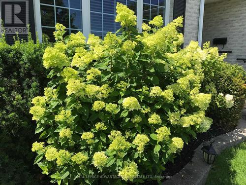 Summer View of Front Garden ... - 58 Decaria Boulevard, Perth, ON - Outdoor