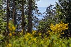 2613 Shoal Rd Pender Island, BC V0N 2M2