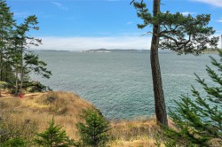 1324 Greenleaf Lane Sidney Island, BC V8L 5Y9