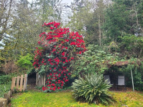 369 Baker Rd, Ladysmith, BC 