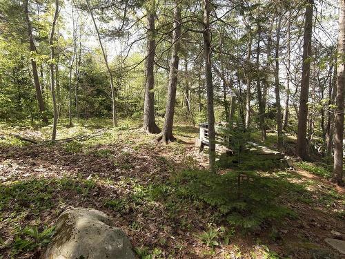 91 Ridgevale Drive, Bedford, NS 