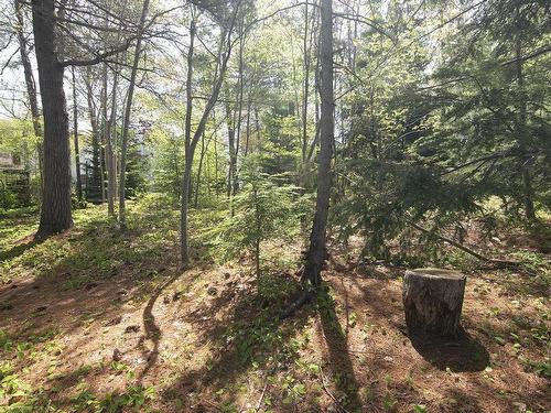 91 Ridgevale Drive, Bedford, NS 