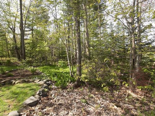 91 Ridgevale Drive, Bedford, NS 