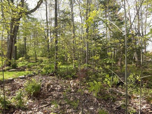91 Ridgevale Drive, Bedford, NS 