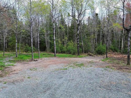 58 Mic Mac Road, Springhill Junction, NS 