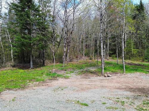 58 Mic Mac Road, Springhill Junction, NS 