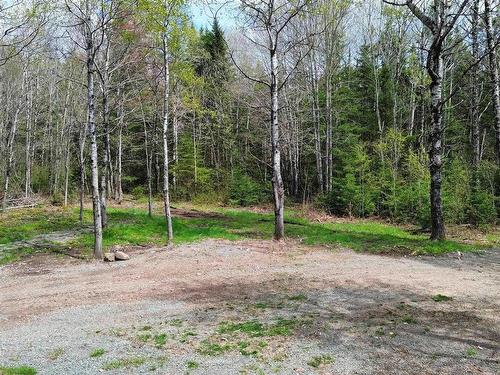 58 Mic Mac Road, Springhill Junction, NS 