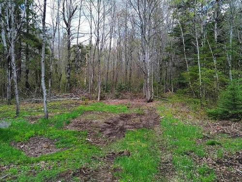 58 Mic Mac Road, Springhill Junction, NS 