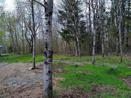 58 Mic Mac Road, Springhill Junction, NS 
