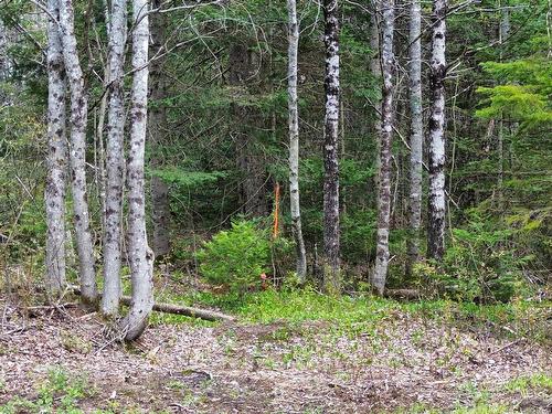 58 Mic Mac Road, Springhill Junction, NS 