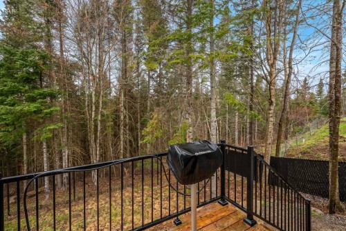 Courtyard - 670 Rue Des Mésanges, Sainte-Agathe-Des-Monts, QC - Outdoor