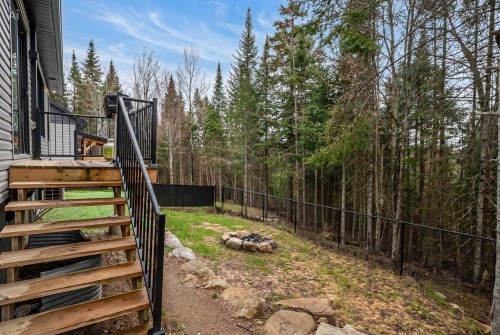Courtyard - 670 Rue Des Mésanges, Sainte-Agathe-Des-Monts, QC - Outdoor