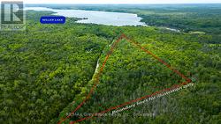 PART 1 TAMMY'S COVE ROAD Northern Bruce Peninsula, ON N0H 1Z0