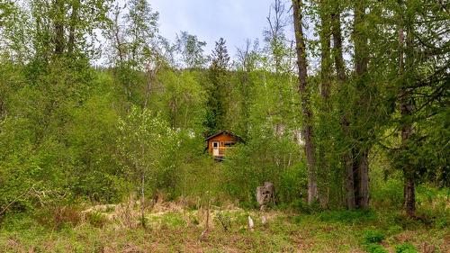 2904 Enderby Mabel Lake Road, Enderby, BC - Outdoor