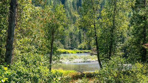 2904 Enderby Mabel Lake Road, Enderby, BC - Outdoor