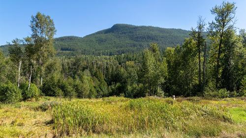 2904 Enderby Mabel Lake Road, Enderby, BC - Outdoor With View