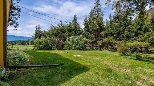 3988 Samuelson Road, Canyon, BC - Outdoor With View