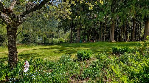3988 Samuelson Road, Canyon, BC - Outdoor