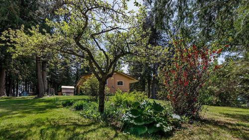 3988 Samuelson Road, Canyon, BC - Outdoor