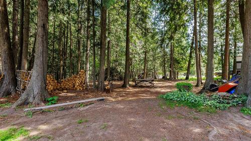 3988 Samuelson Road, Canyon, BC - Outdoor With View